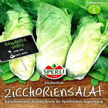 Sperli 4001523830064 Sugarloaf Chicory Salad Seeds