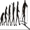 blattwerk-design Wall Decal, Evolution Ski, Skiing Sports Motif, Various Sizes and Colors (M072 Light Gray, 450 mm x 160 mm) view 2