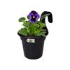elho Green Basics Easy Hanger Small Balcony Planter - Living Black view 3