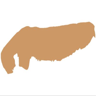 Samunshi Norderney Wall Decal, 120 x 28 cm, Light Brown