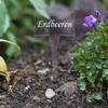 Clear Acrylic Plant Labels “Slave” – Garden Stakes with Custom Name, Weatherproof – Strawberries view 1