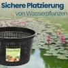 Round Pond Plant Baskets, 22 cm view 3