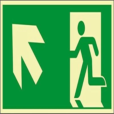 LEMAX PERMALIGHT power Emergency Exit Sign, Left/Up Arrow, Aluminum, 300 x 150 mm