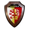 Crest Plaque/Wall Plaque – SanBtl 2 Medical Battalion Medic #10001 view 1