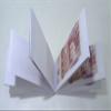 New 20-Pound Note Design Rolling Papers, 6 Booklets view 3