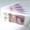 New 20-Pound Note Design Rolling Papers, 6 Booklets view 4