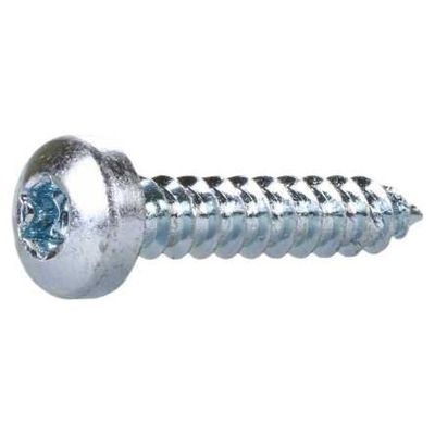 Reidl Pan Head Sheet Metal Screws 3.9 x 16 mm DIN 7981 A2 Plain, 10 Count