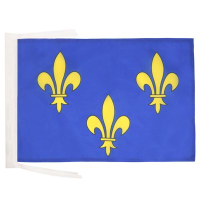 AZ FLAG Gold and Blue Fleur-de-Lis 2 Flag, 45 x 30 cm, with Cords