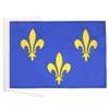 AZ FLAG Gold and Blue Fleur-de-Lis 2 Flag, 45 x 30 cm, with Cords view 1