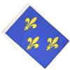 AZ FLAG Gold and Blue Fleur-de-Lis 2 Flag, 45 x 30 cm, with Cords view 2