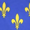 AZ FLAG Gold and Blue Fleur-de-Lis 2 Flag, 45 x 30 cm, with Cords view 3
