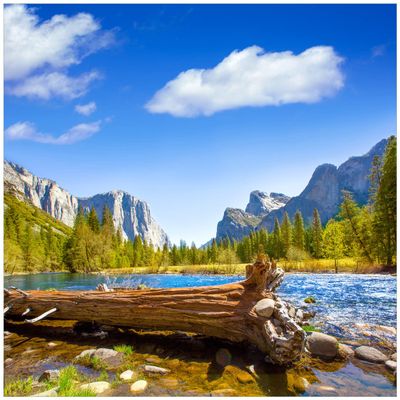 Wallario Acrylic Wall Art, 50 x 50 cm, Floating Appearance – Tree Trunk in a River Between Mountains and Forests