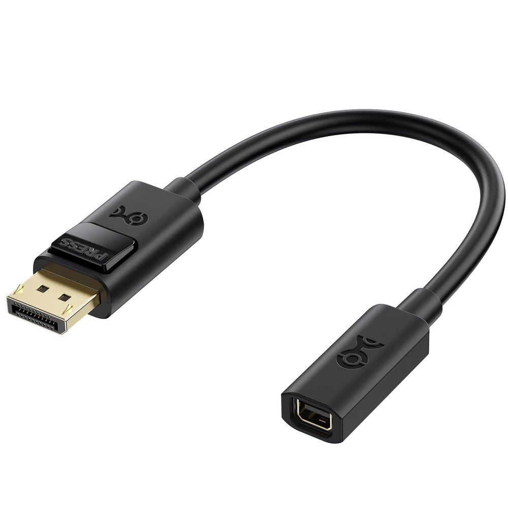 Cable Matters Bidirectional DisplayPort to Mini DisplayPort Adapter, 15 cm
