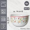 Ritzenhoff & Breker Shanti Cereal Bowl Set | 6-Piece | 600 ml view 2