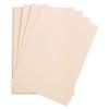 Clairefontaine 37930C EtivalColor Drawing Paper, 250 Sheets, 20 x 26 in, 160 gsm, Light Pink view 1