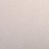 Clairefontaine 37930C EtivalColor Drawing Paper, 250 Sheets, 20 x 26 in, 160 gsm, Light Pink view 2