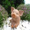 STEINFIGUREN SPICKER Stone Pig Figures, Set of 2, Terracotta Patina view 2