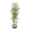 artplants.de Artificial Bamboo in Decorative Bowl, Light Stems, 150 cm view 1