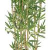 artplants.de Artificial Bamboo in Decorative Bowl, Light Stems, 150 cm view 2