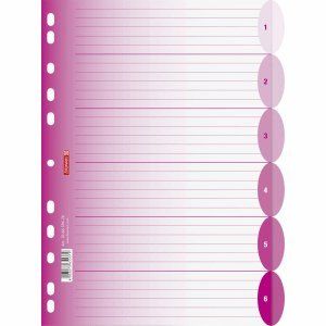 Brunnen 10 x Colour Code A4 6-Piece PP Blank Dividers, Pink