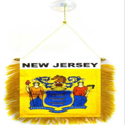 AZ FLAG New Jersey Car Flag 15 x 10 cm 100D Polyester with Suction Cup