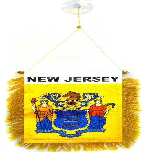 AZ FLAG New Jersey Car Flag 15 x 10 cm 100D Polyester with Suction Cup