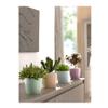 HERSTERA 09742422 Madeira Lux Planter, Taupe, 22 x 22 x 20 cm view 2