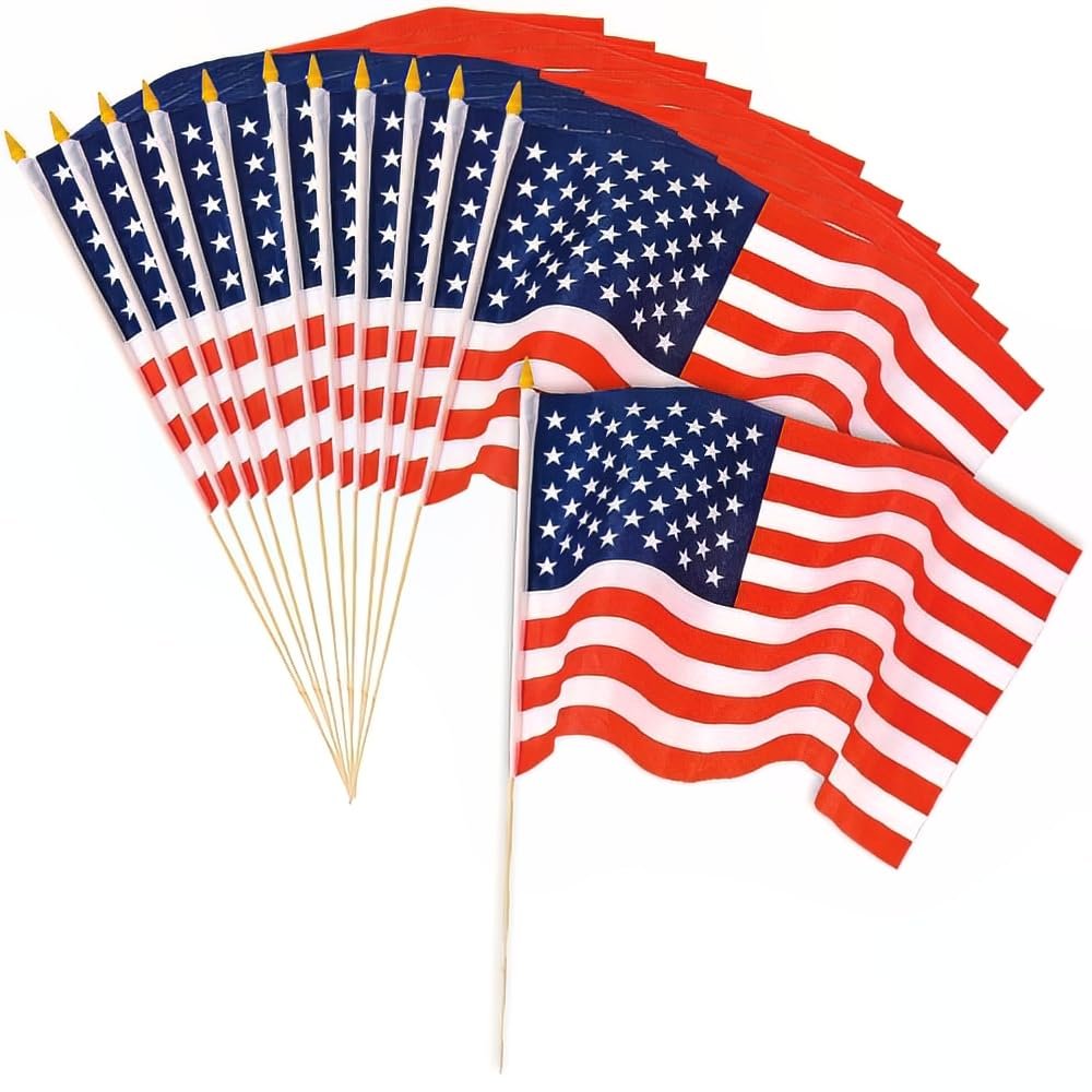 27.9 x 45.7 cm Rayon American Flags, 12-Pack