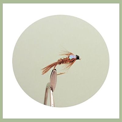 Pheasant Tail Nymph Trout Flies, 6-Pack, Flash Head, Green Selection