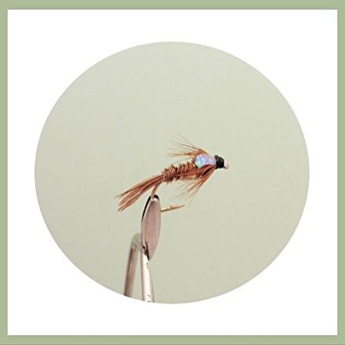 Pheasant Tail Nymph Trout Flies, 6-Pack, Flash Head, Green Selection