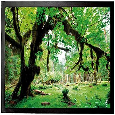 1art1 Green Forest “Back to Nature” Doormat, Decorative Indoor Mat | Designer Doormat 60 x 40 cm