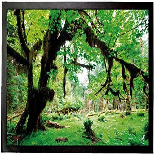 1art1 Green Forest “Back to Nature” Doormat, Decorative Indoor Mat | Designer Doormat 60 x 40 cm