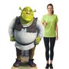 Star Cutouts SC785 Shrek Life-Size Cardboard Cutout view 1