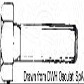 Osculati Threaded Hex Bolt 4 x 20 mm AISI 304 BULL4X20