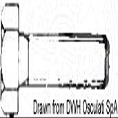 Osculati Threaded Hex Bolt 4 x 20 mm AISI 304 BULL4X20