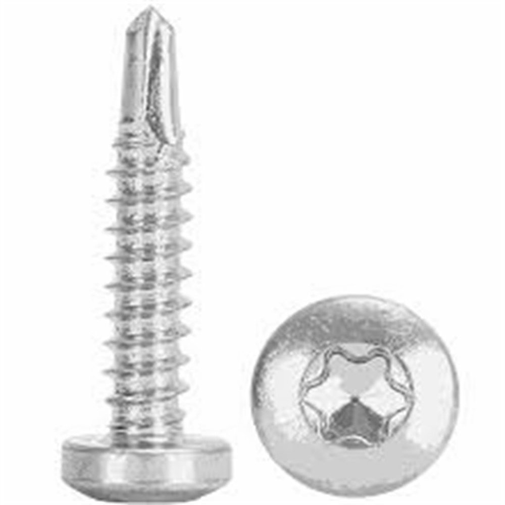 1,000 Self-Drilling Screws 3.9 x 19 mm, Zinc-Plated, Pan Head, DIN 7504 N-T