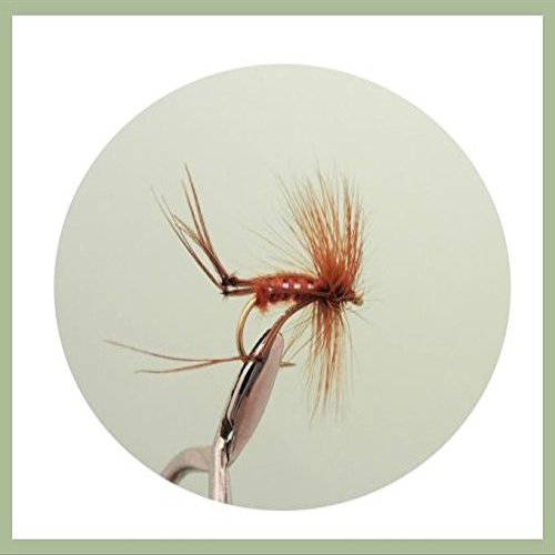Hopper Trout Flies, 6-Pack Brown Hoppers, Gren and Bristol Hopper Fly Selection