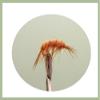 Shrimp Fishing Flies for Trout or Salmon, 18-Piece Assortment view 3