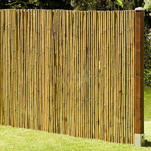 Farben-Budimex Professional Industrial Bamboo Protector, Colorless, 2.5 L
