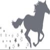 GRAZDesign Horse and Stars Wall Decal | Children's Room Wall Sticker view 2