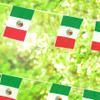 Mexican Flag Bunting, 120 m, 20 x 30 cm view 4