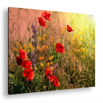 Stunning Poppy Meadow Canvas Wall Art, Colorful and Lively, 80 x 60 cm XXL