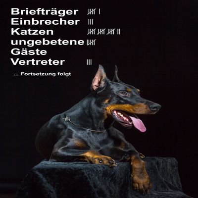 Melis-Folienwerkstatt Warning Sign: Beware of Doberman—Mail Carriers, Burglars, Cats, Unwanted Guests and Sales Reps, 30 x 20 cm, Aluminum Composite/Rigid Foam - S25L