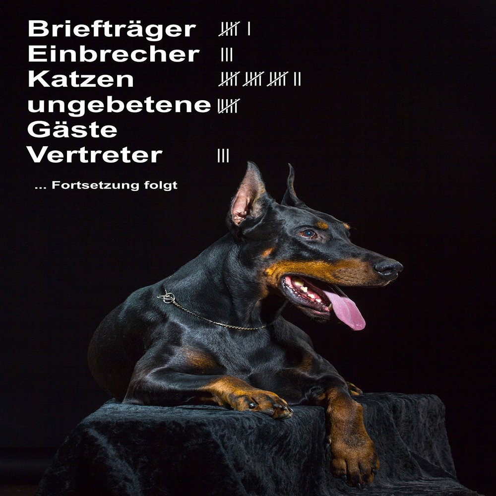 Melis-Folienwerkstatt Warning Sign: Beware of Doberman—Mail Carriers, Burglars, Cats, Unwanted Guests and Sales Reps, 30 x 20 cm, Aluminum Composite/Rigid Foam - S25L
