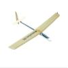 Arkai Bobolink DL SAL DLG F3K Glider view 1