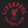 Liverpool FC Men's Fleece Hoodie with Graphic Print - Official Merchandise - 3XL view 4