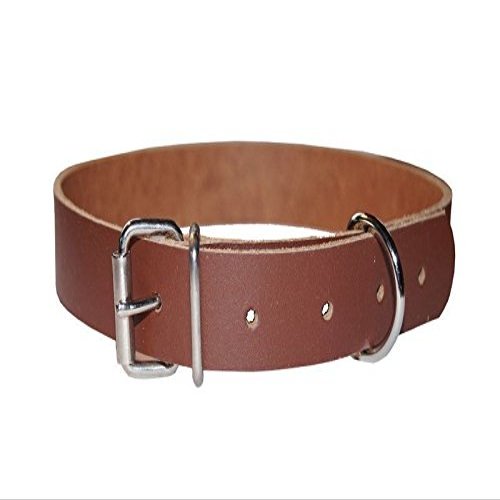 Leather Fastening Strap with D-Ring and Buckle, Red-Brown, 2 cm x 100 cm