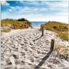 Wallario Outdoor Poster for Garden or Balcony, Seagulls on the Way to the Beach, Approx. 60 x 90 cm view 1