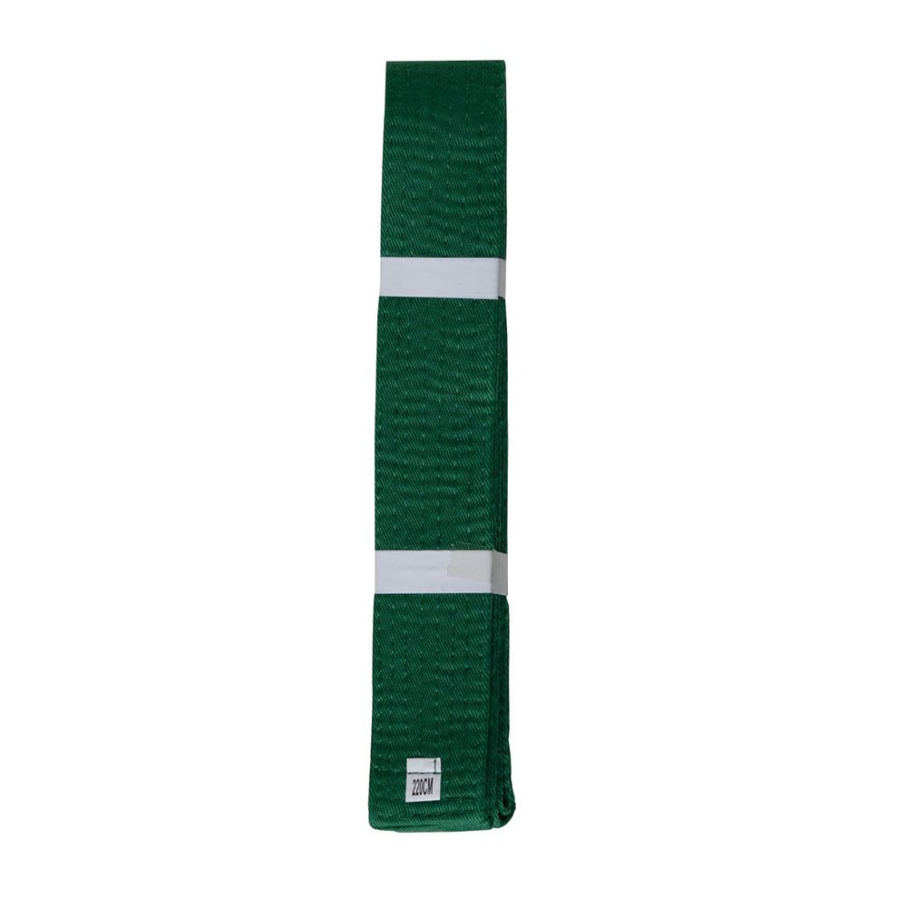 Lisaro Martial Arts Belt for Karate, Judo, Taekwondo, Ju-Jutsu & BJJ, 160–300 cm, Green, 300