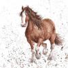 Wrendale Designs Feather Greeting Card view 1